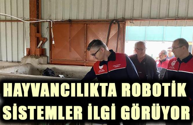 HAYVANCILIKTA ROBOTİK SİSTEMLER İLGİ GÖRÜYOR