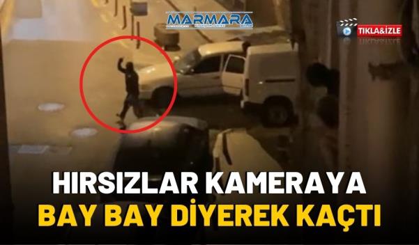 HIRSIZLAR KAMERAYA BAY BAY DİYEREK KAÇTI