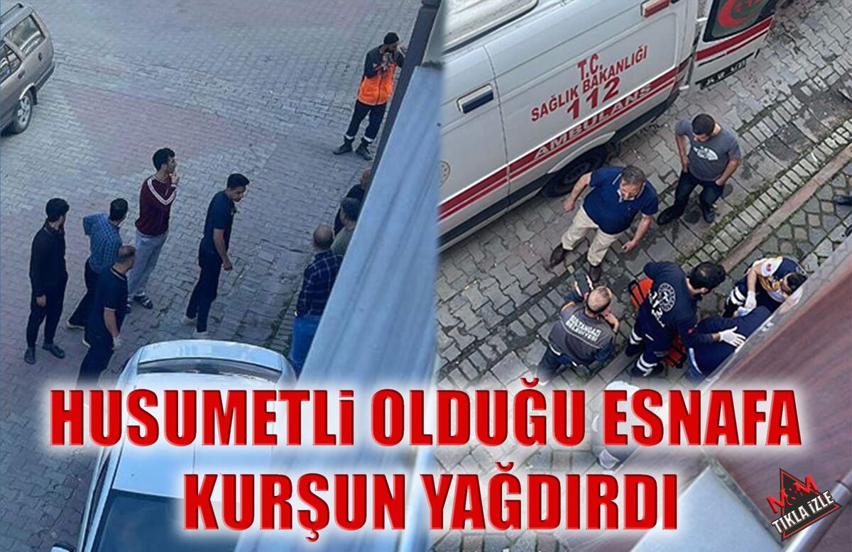 Editör Hakkında Marmara Editör