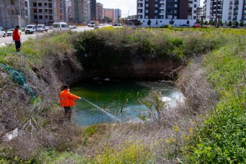 Hatay’da haşere ile mücadele sürüyor