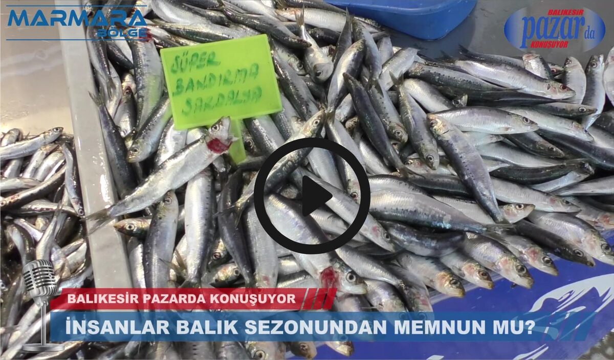 İNSANLAR BALIK SEZONUNDAN MEMNUN MU? 