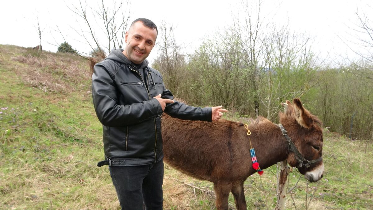 Pendik’in Kurtdoğmuş Köyünde çiftliği