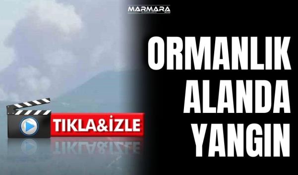 İZMİR’DE ORMANLIK ALANDA YANGIN