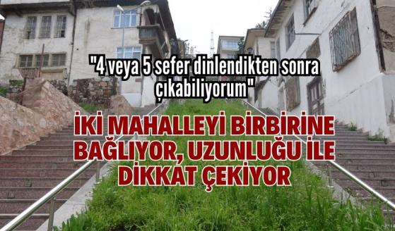 İki mahalleyi birbirine bağlıyor, uzunluğu ile dikkat çekiyor