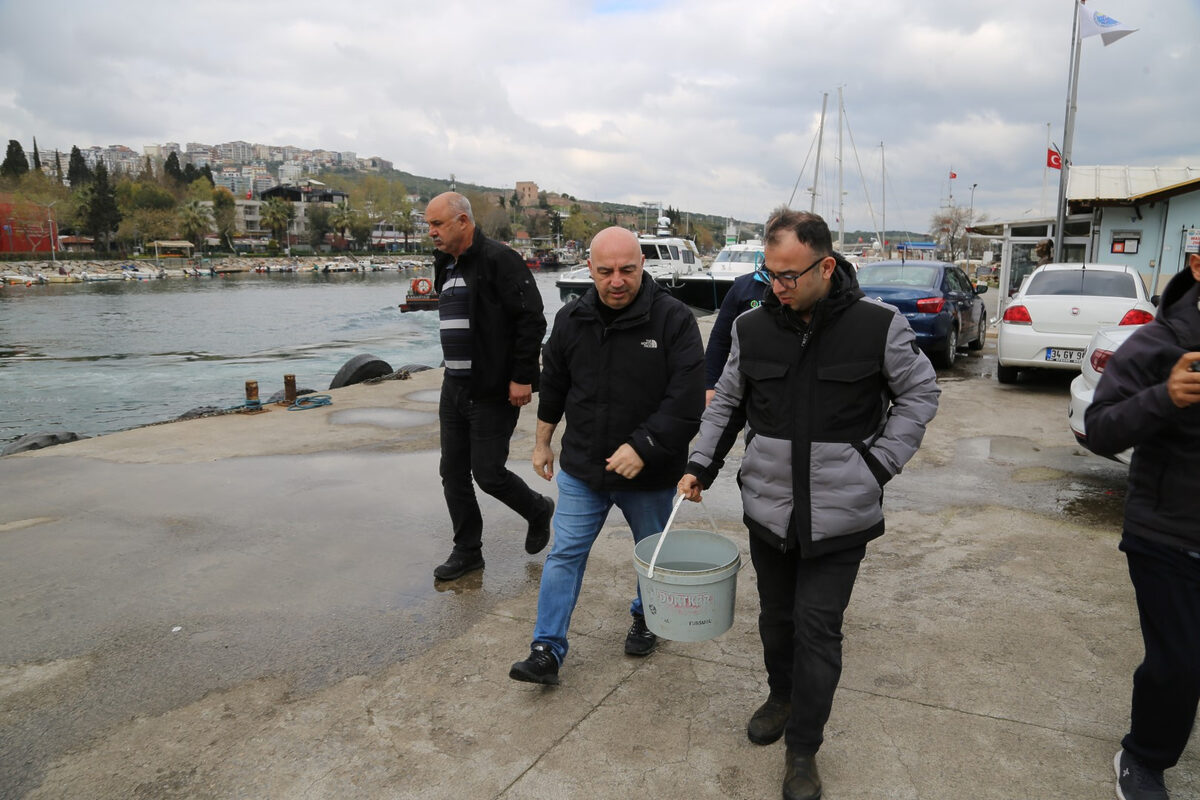 Iki yil once 150 gram olarak salinmisti 1 kilo olarak - Marmara Bölge: Balıkesir Son Dakika Haberleri ile Hava Durumu