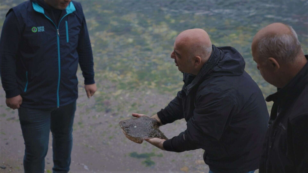 Iki yil once 150 gram olarak salinmisti 1 kilo olarak - Marmara Bölge: Balıkesir Son Dakika Haberleri ile Hava Durumu