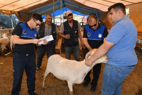 İzmir Karabağlar’da ‘kurban’ denetimleri