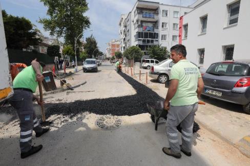 Narlıdere Belediyesi, ilçe genelindeki