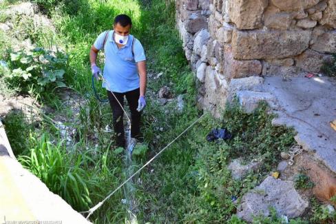 İzmir Büyükşehir Belediyesi, küresel