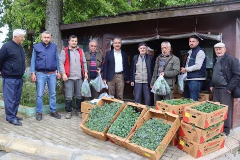 İzmit’te fideler kırsala dağıtılıyor