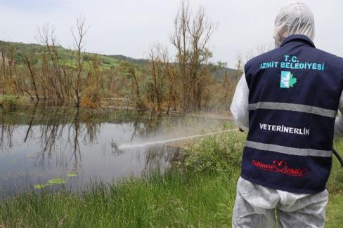 İzmit’te larva ile mücadele çalışmaları hızlandı