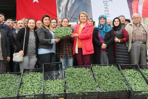 İzmit’te sebze üretmeyen köy kalmayacak