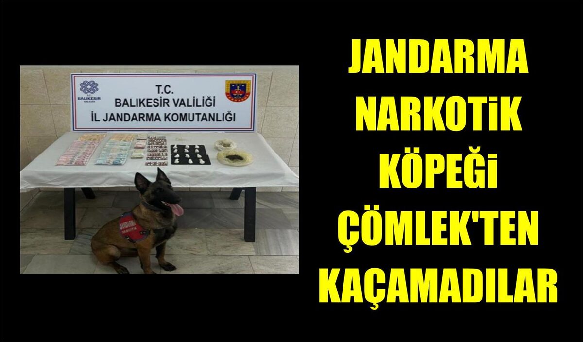 JANDARMA NARKOTİK KÖPEĞİ ÇÖMLEK’TEN KAÇAMADILAR  