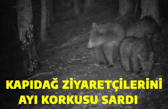 KAPIDAĞ ZİYARETÇİLERİNİ AYI KORKUSU SARDI