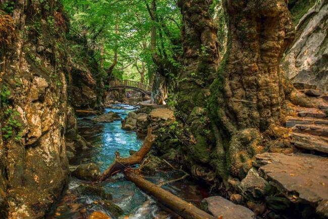 KAZ DAGLARININ BALIKESIR TURIZMINE ETKILERI - Marmara Bölge: Balıkesir Son Dakika Haberleri ile Hava Durumu