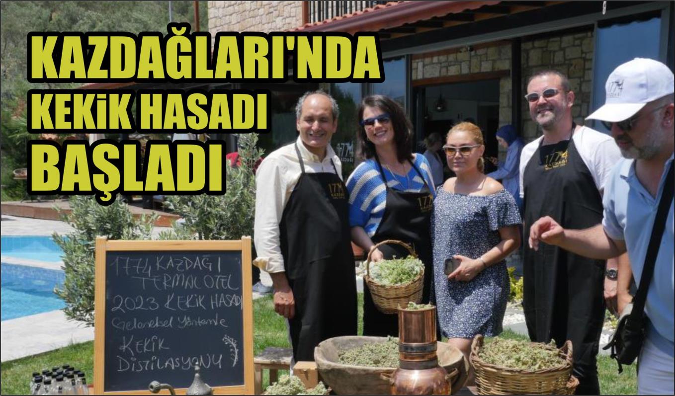 KAZDAĞLARI’NDA KEKİK HASADI BAŞLADI