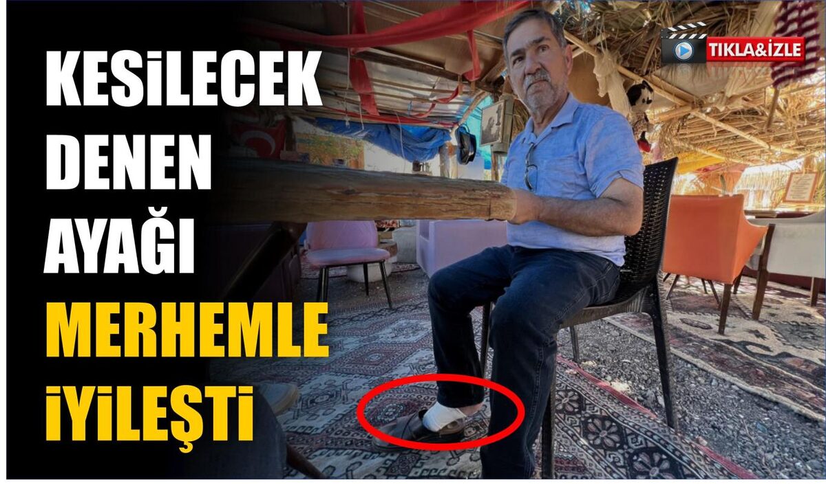 Editör Hakkında Marmara Editör