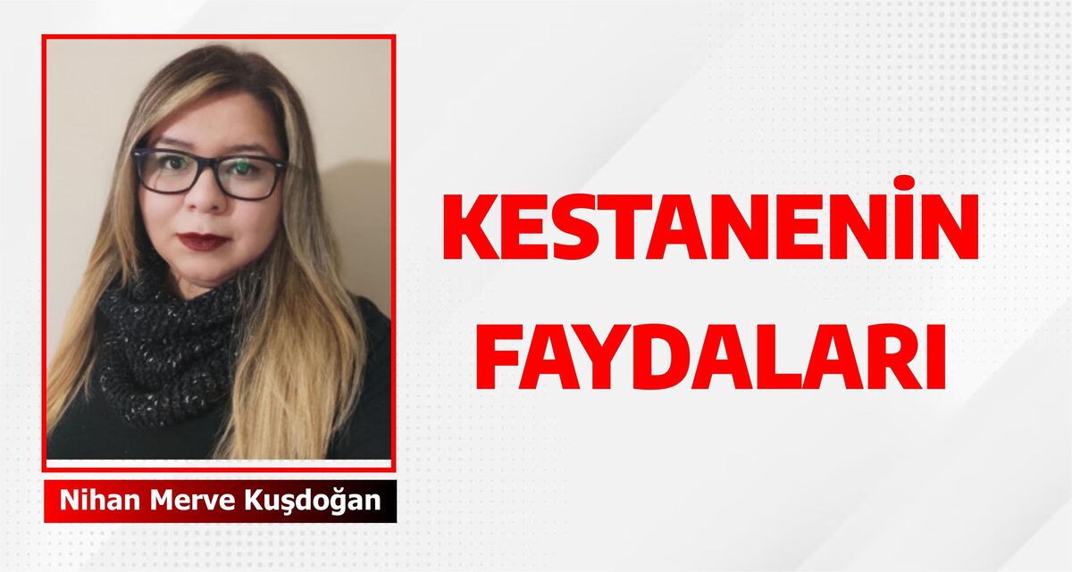 KESTANENİN FAYDALARI