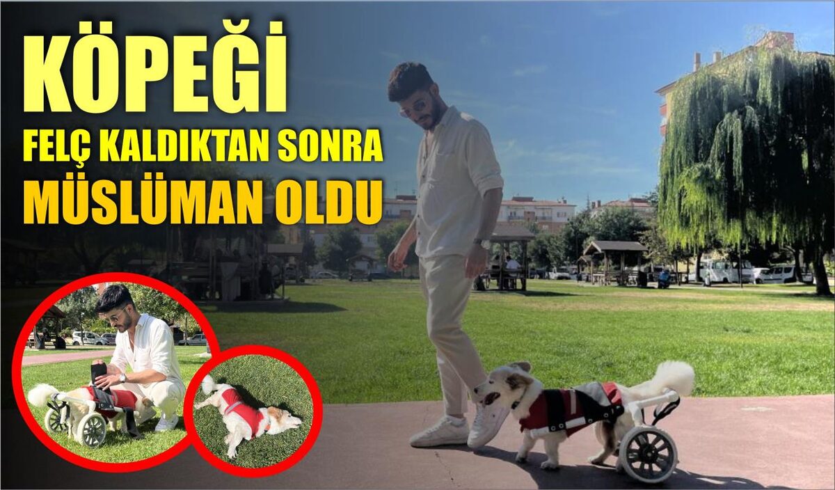   Eskişehir’de yaşayan Rıdvan