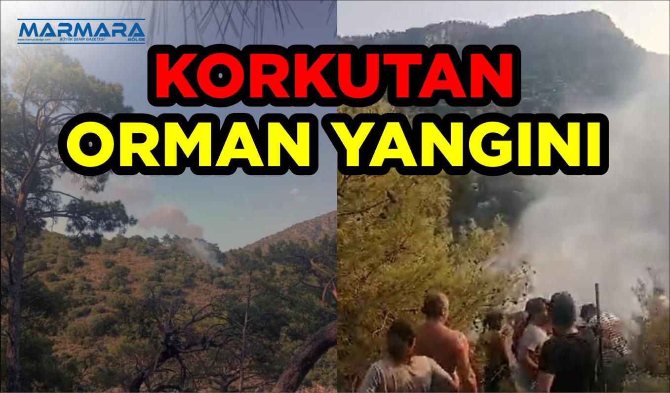 KORKUTAN ORMAN YANGINI  