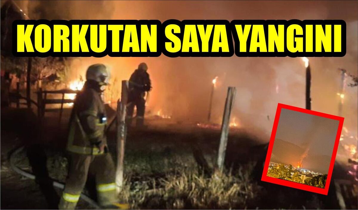 KORKUTAN SAYA YANGINI  