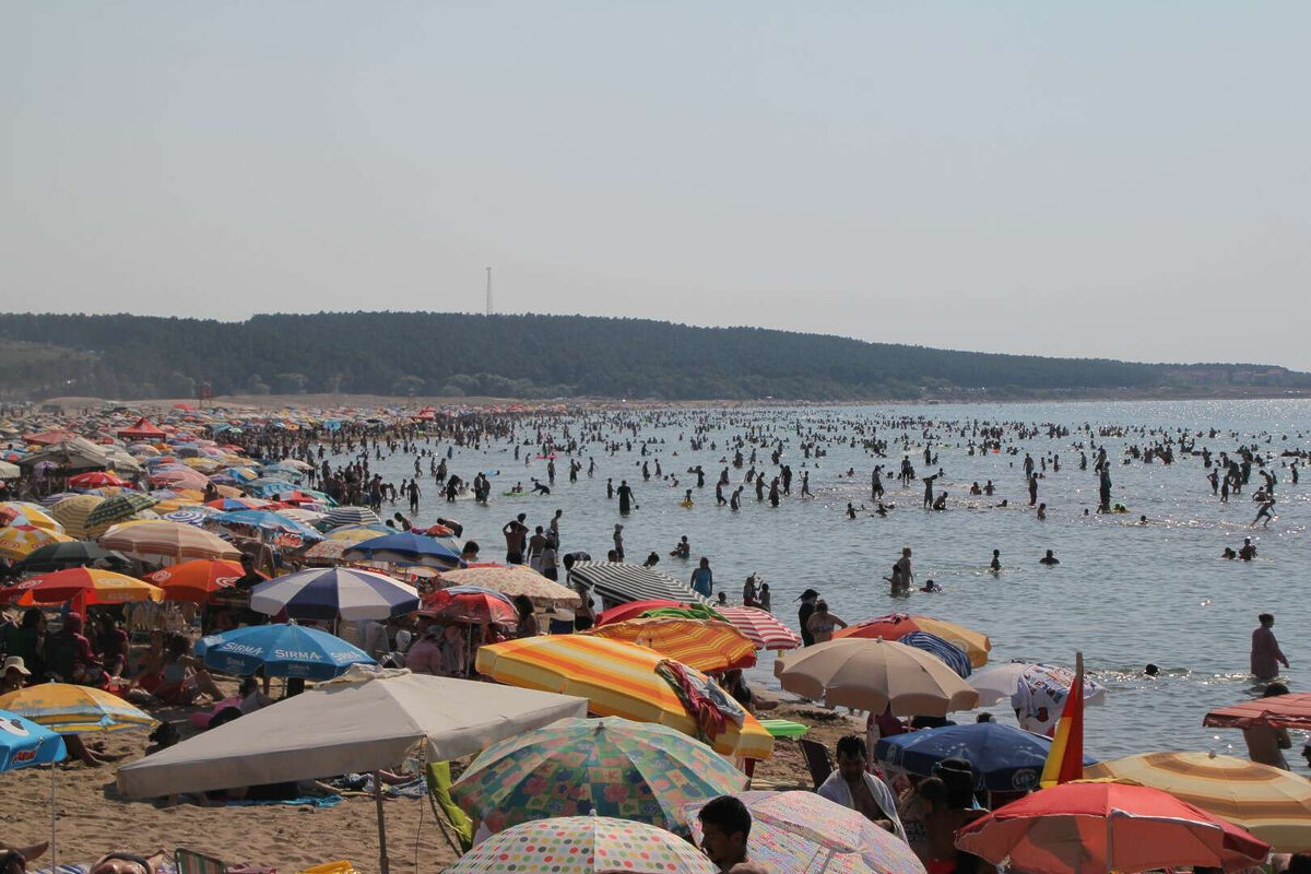 KOSKEM yuzlerce cani hayata bagladi - Marmara Bölge: Balıkesir Son Dakika Haberleri ile Hava Durumu