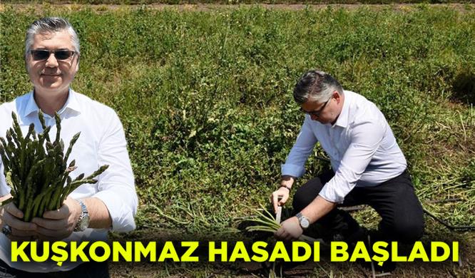 KUŞKONMAZ HASADI BAŞLADI