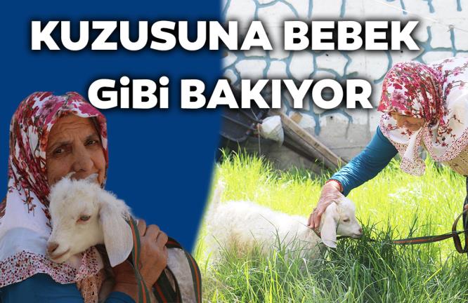 KUZUSUNA BEBEK GİBİ BAKIYOR