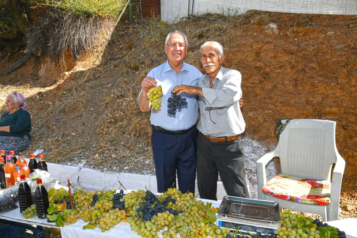 Kaliteli uzum hasadini belediyeye borclular - Marmara Bölge: Balıkesir Son Dakika Haberleri ile Hava Durumu