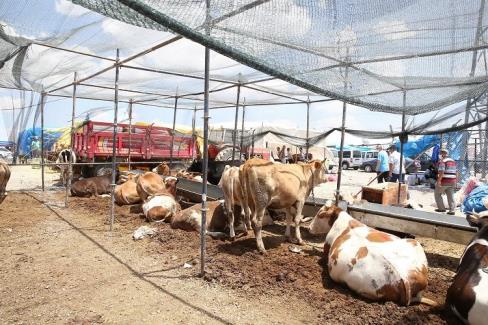 Kayseri Büyükşehir Belediyesi, İl