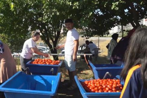 Kayseri Melikgazi’de Salça Kaynatma Günleri başladı