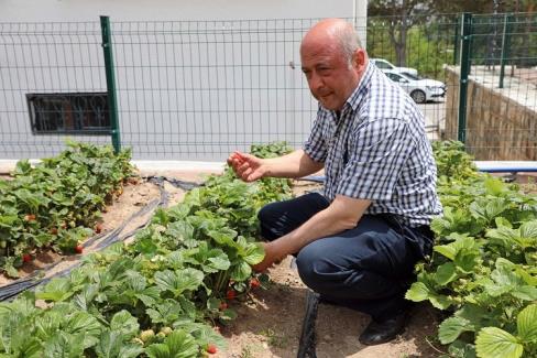 Talas Belediyesi’nin tarım ve