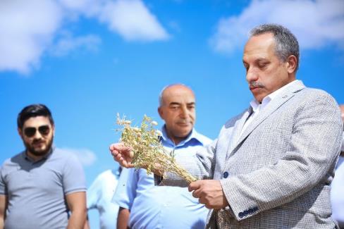 Kayseri Talas’tan tarıma tam destek