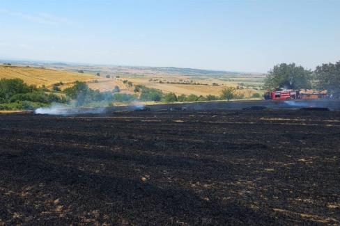 Edirne’de Keşan’a bağlı Altıntaş