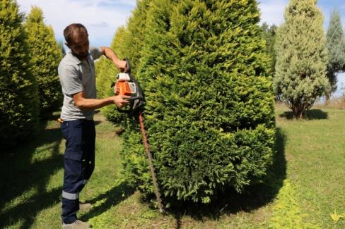 Kocaeli’de park ve bahçelerde sonbahar budaması