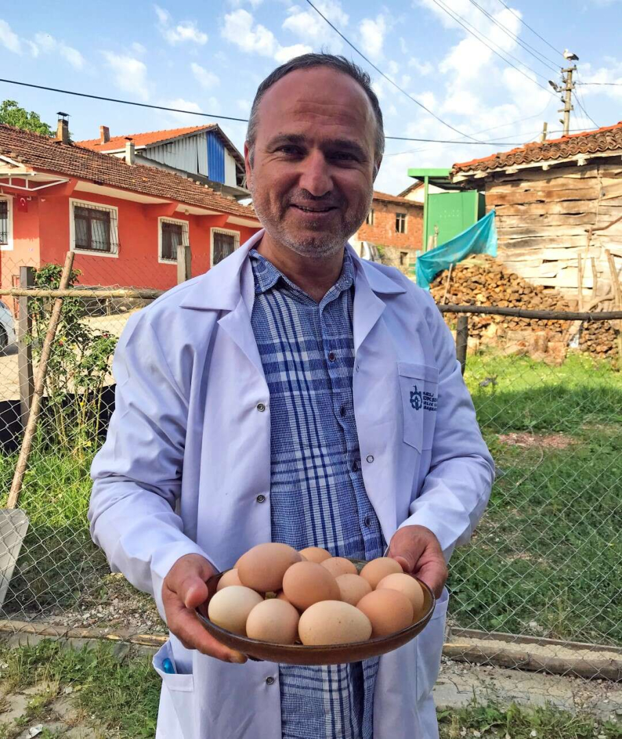 Kocaelide yuzde 50 hibeli yumurta tavugu - Marmara Bölge: Balıkesir Son Dakika Haberleri ile Hava Durumu