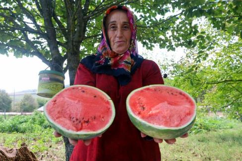 Kocaeli'den üreticilere destekler sürüyor