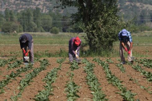 Türkiye’nin gıda devlerinden Konya