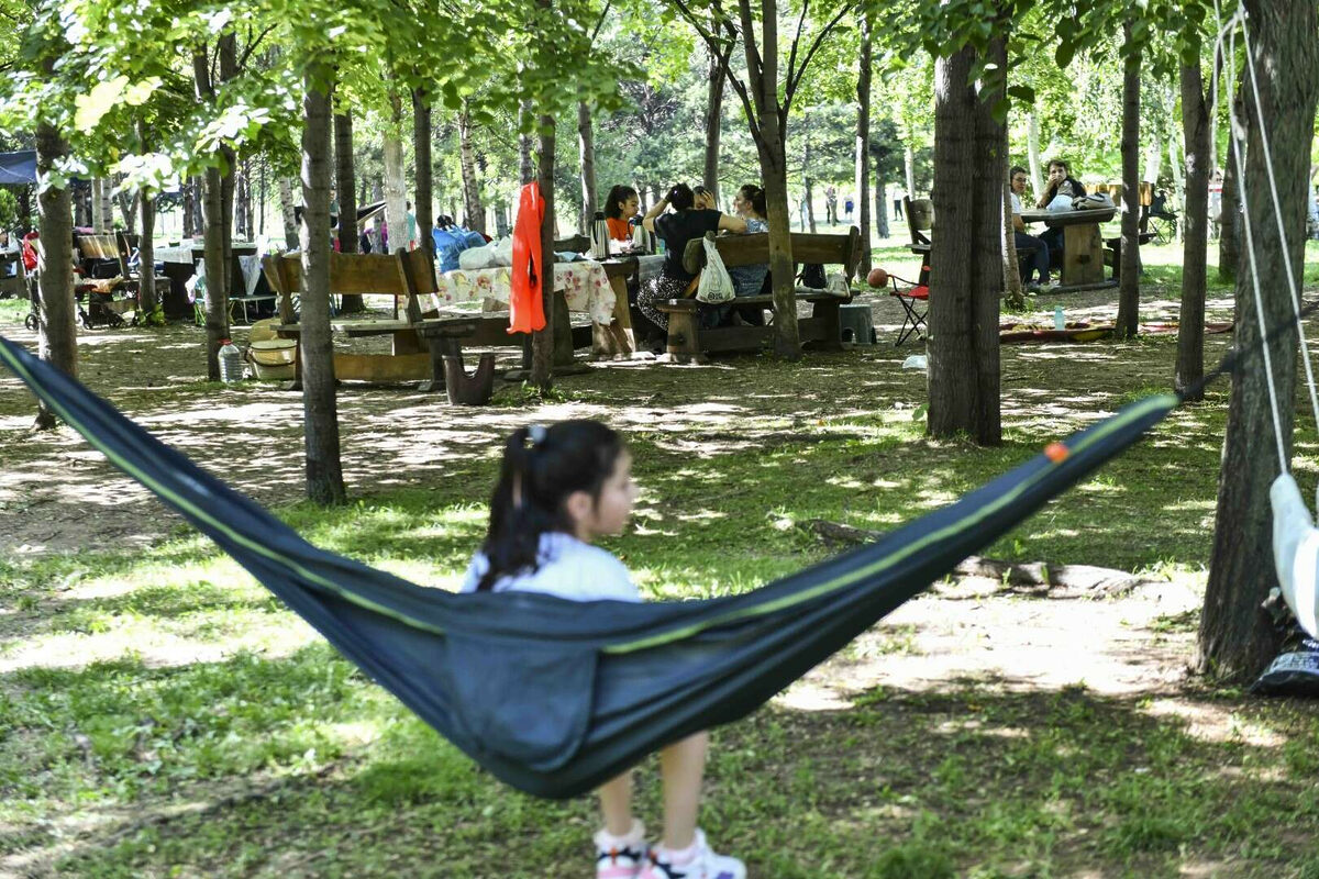 Kurbanini kesen mangala kostu - Marmara Bölge: Balıkesir Son Dakika Haberleri ile Hava Durumu