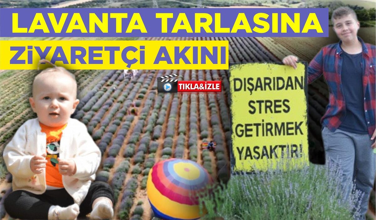 LAVANTA TARLASINA ZİYARETÇİ AKINI