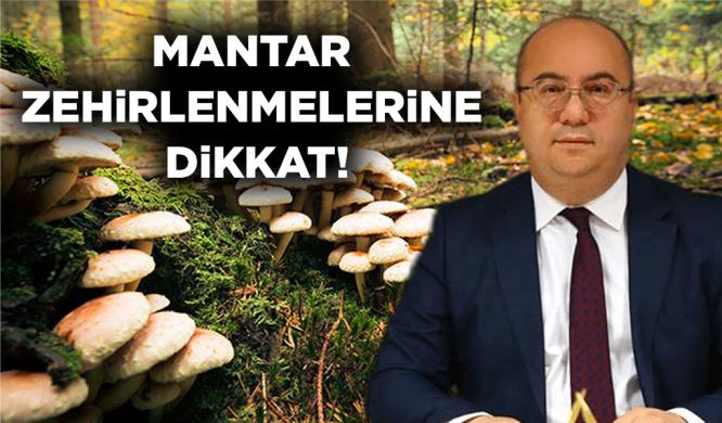 MANTAR ZEHİRLENMELERİNE DİKKAT!