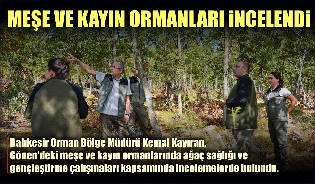 MEŞE VE KAYIN ORMANLARI İNCELENDİ