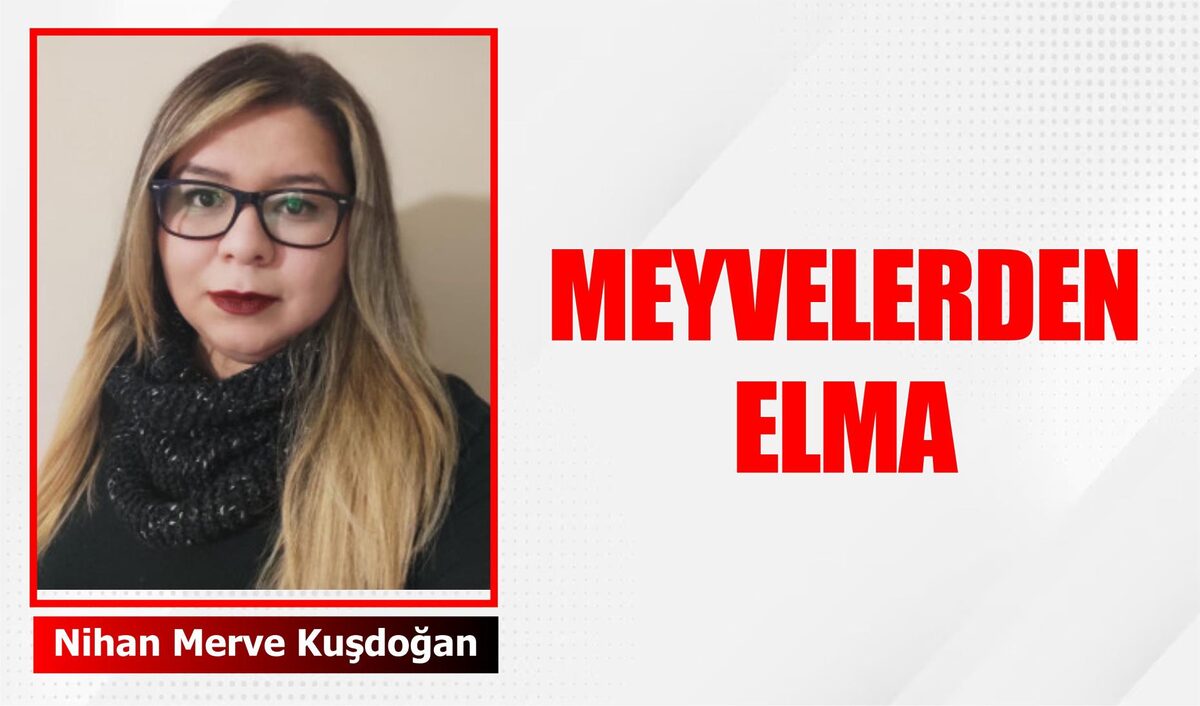 MEYVELERDEN ELMA