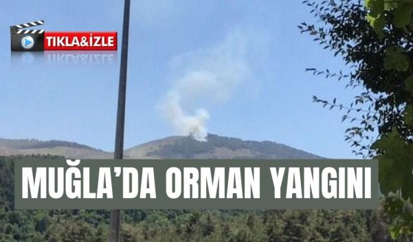 MUĞLA’DA ORMAN YANGINI