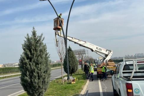 Manisa-İzmir Çevre Yolu'nda aydınlatma çalışmaları