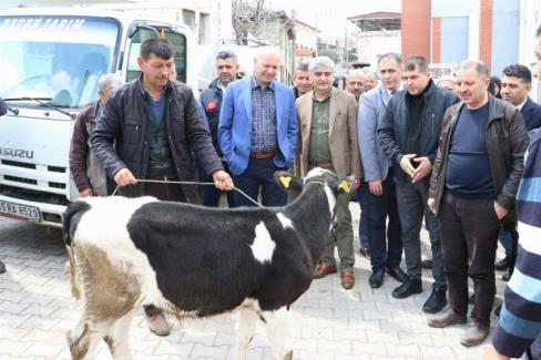 Manisa Büyükşehir Belediyesinin hayvan