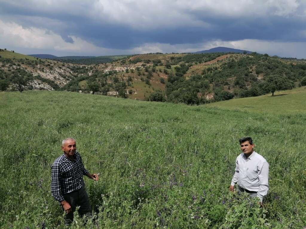 Manisa kendi yemini kendi uretiyor - Marmara Bölge: Balıkesir Son Dakika Haberleri ile Hava Durumu