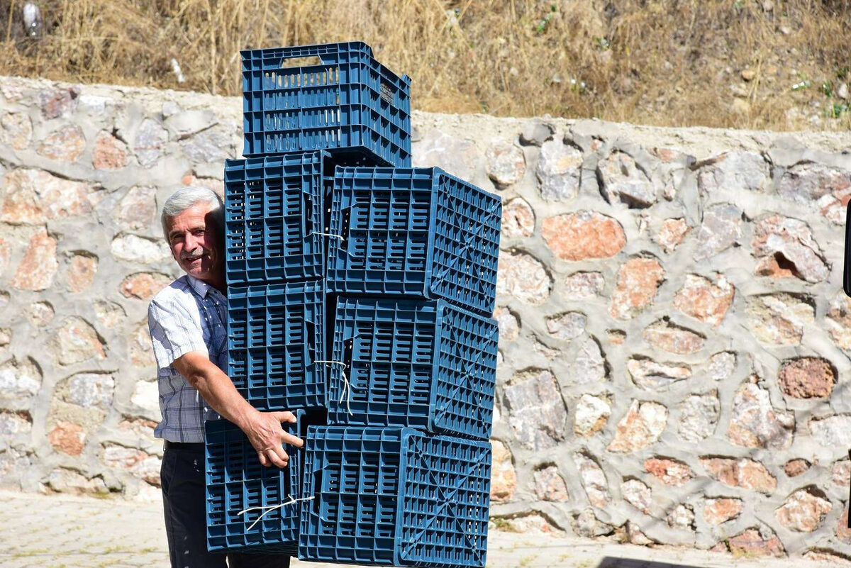 Manisada 900 uretici daha kasalandi - Marmara Bölge: Balıkesir Son Dakika Haberleri ile Hava Durumu