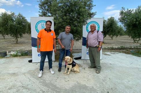 Manisa’da ‘Üzüm’ çiftçinin can yoldaşı olacak