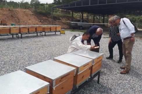 Manisa’da ana arılar teslime hazır